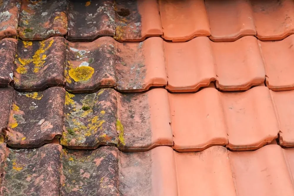 Pourquoi entretenir sa toiture régulièrement - Démoussage de toiture au Mans et en Sarthe